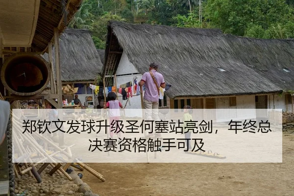 郑钦文发球升级圣何塞站亮剑，年终总决赛资格触手可及