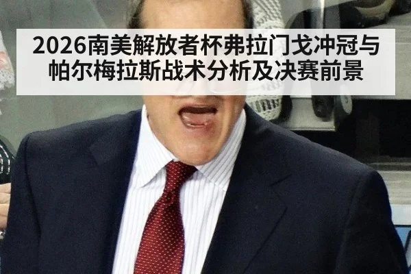 2026南美解放者杯弗拉门戈冲冠与帕尔梅拉斯战术分析及决赛前景